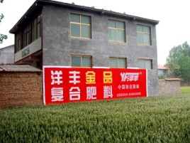 铜陵如何让墙体广告展现最大化效果